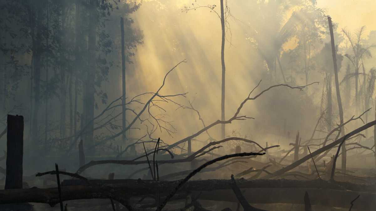 Immagine di Salvare il pianeta? Sì, guardando avanti e senza demonizzare la scienza