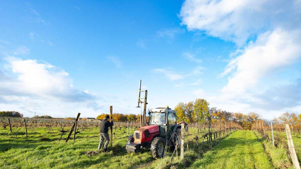 Immagine di Una sfida per smontare la truffa della superiorità del biodinamico