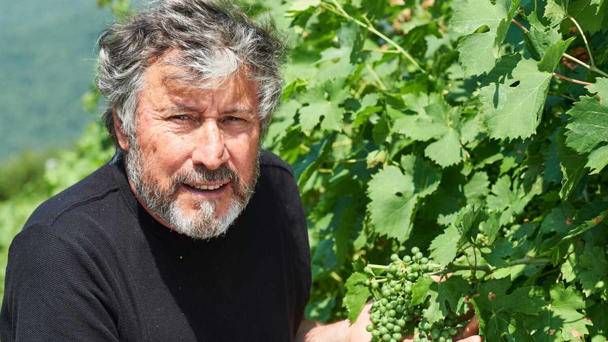 Immagine di “L’allenatore bravo non fa danni”. Tra i vigneti di Malesani