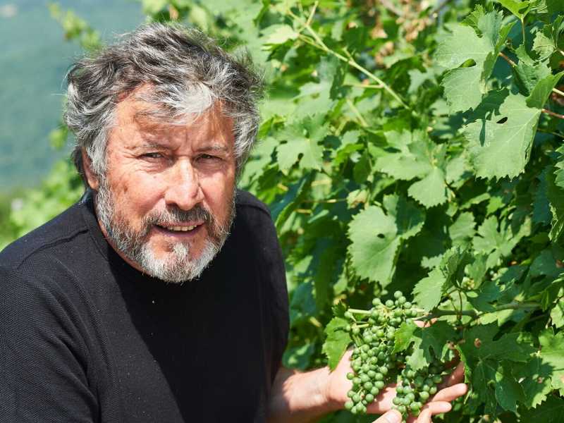 Alberto Malesani nella sua vigna, in una foto tratta dal sito lagiuva.com
