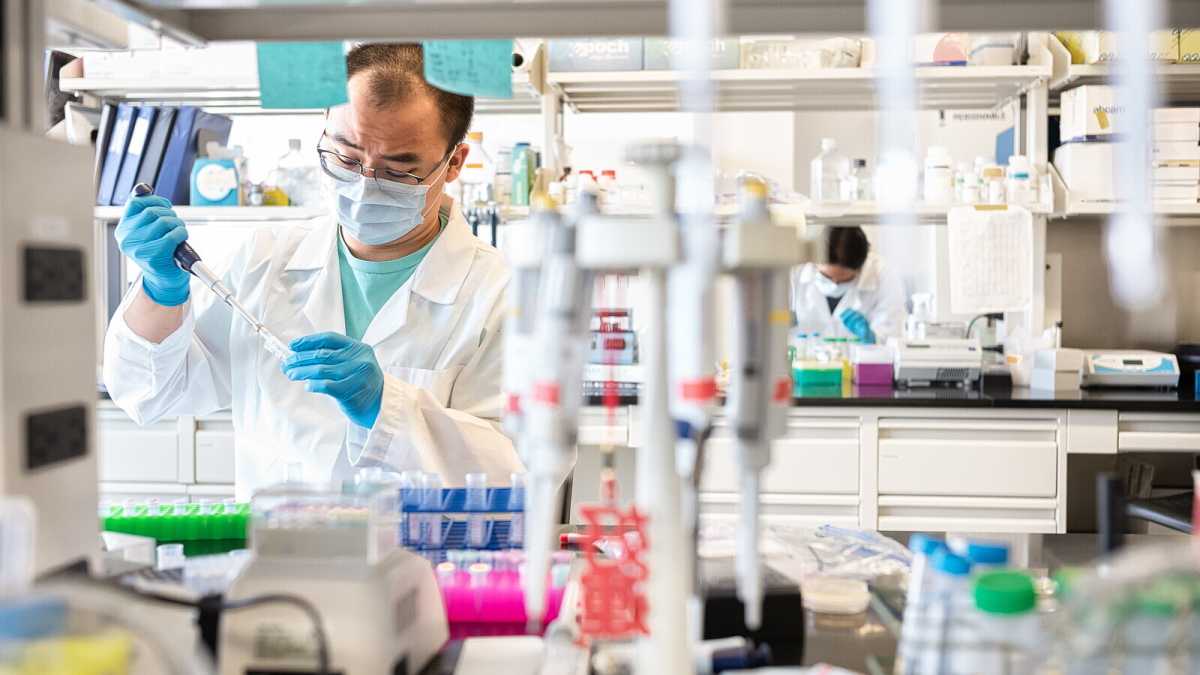 Immagine di Dietro le sequenze cancellate di Coronavirus potrebbe non esserci nessun mistero