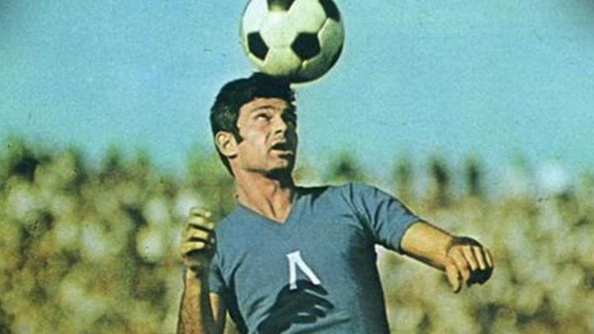 Immagine di Il grande Gundi è rimasto lì