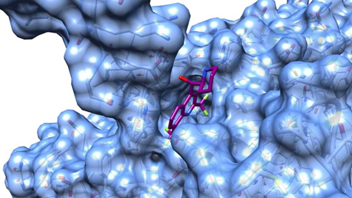 Immagine di Punto d’arrivo anti Covid: vaccini per prevenire, farmaci per curare