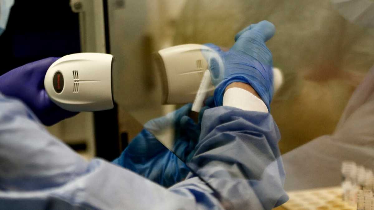 Immagine di Si fa presto a dire scienza