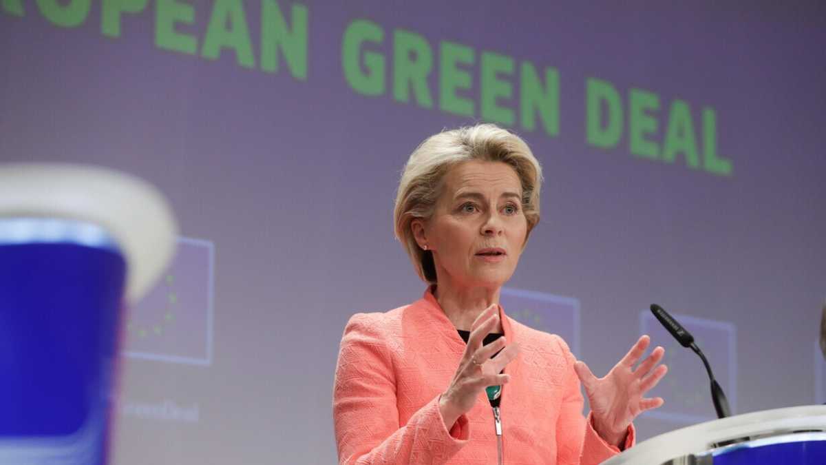Immagine di Il Green deal dell’Ue è ambizioso ma ha un punto debole