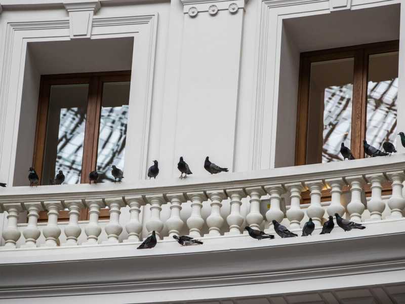 "Others" di Maurizio Cattelan, Bourse de Commerce - Pinault Collection, Parigi 2021 (foto Ansa)&nbsp;<br />