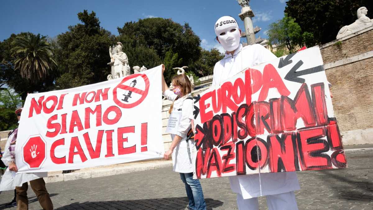 Immagine di L’alleato migliore del Covid-19 si chiama “variante ignorante”