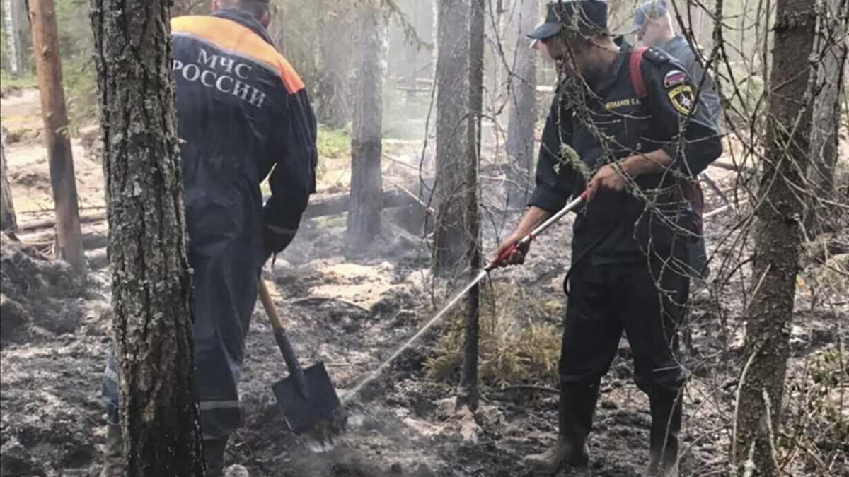 Immagine di La Siberia brucia. E nelle battaglie climatiche il Cremlino vede nuove opportunità