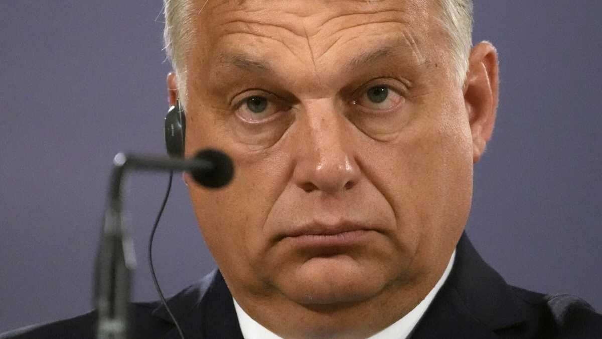 Immagine di Orbán e i referendum