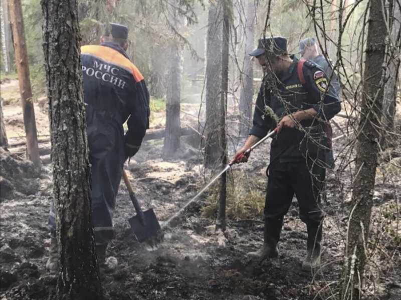 La Siberia brucia. E nelle battaglie climatiche il Cremlino vede nuove opportunità
