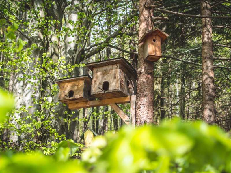 Photo by Marian Kroell on Unsplash <br />