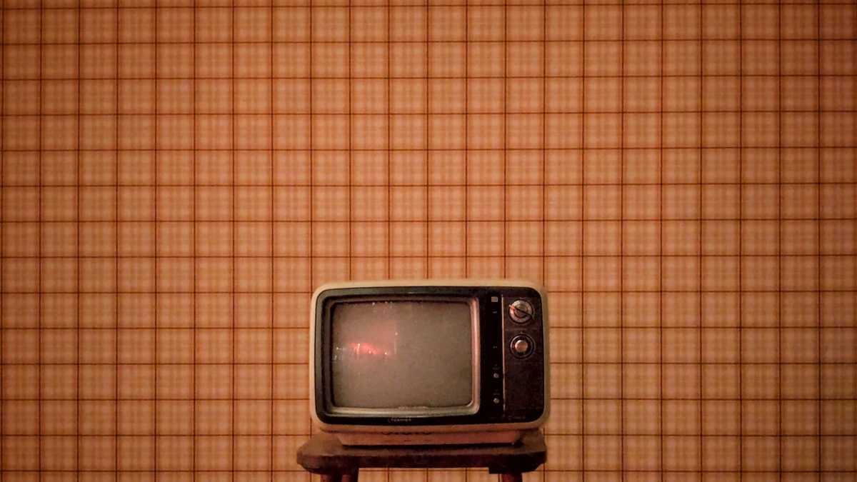 Immagine di Come scongelare la tv generalista. Parla Aldo Grasso