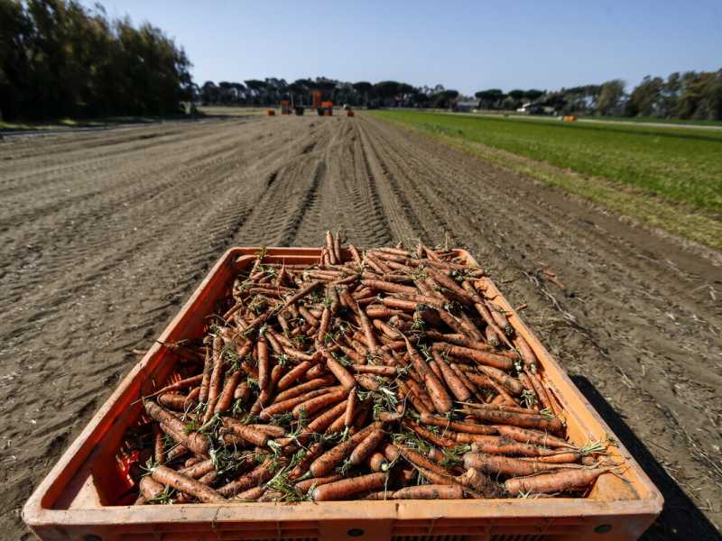 Quei soldi strappati alla scienza per finanziare le favole bio