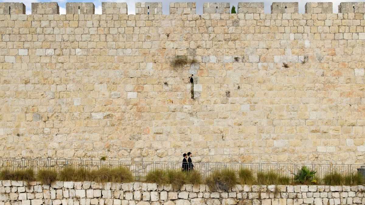 Immagine di Il furore dell’infelicità, nella letteratura di Chaim Grade