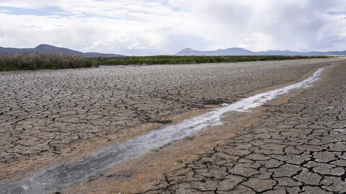 Immagine di Codice rosso sul clima