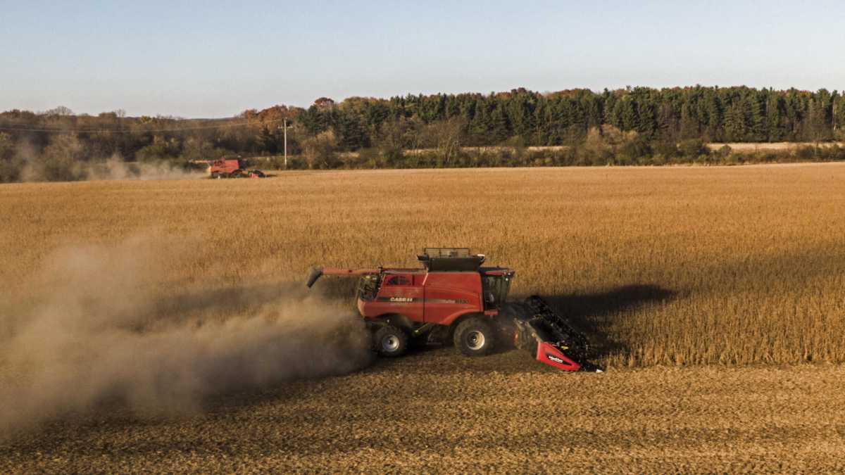 Immagine di Mercati aperti per sfamare il mondo