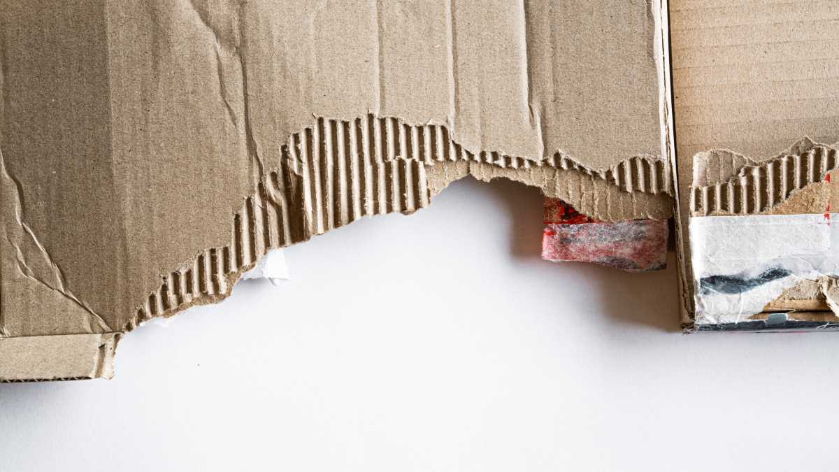 Immagine di Il trasloco di Tolosa, la più grande vergogna di sfruttamento dai tempi di Omero