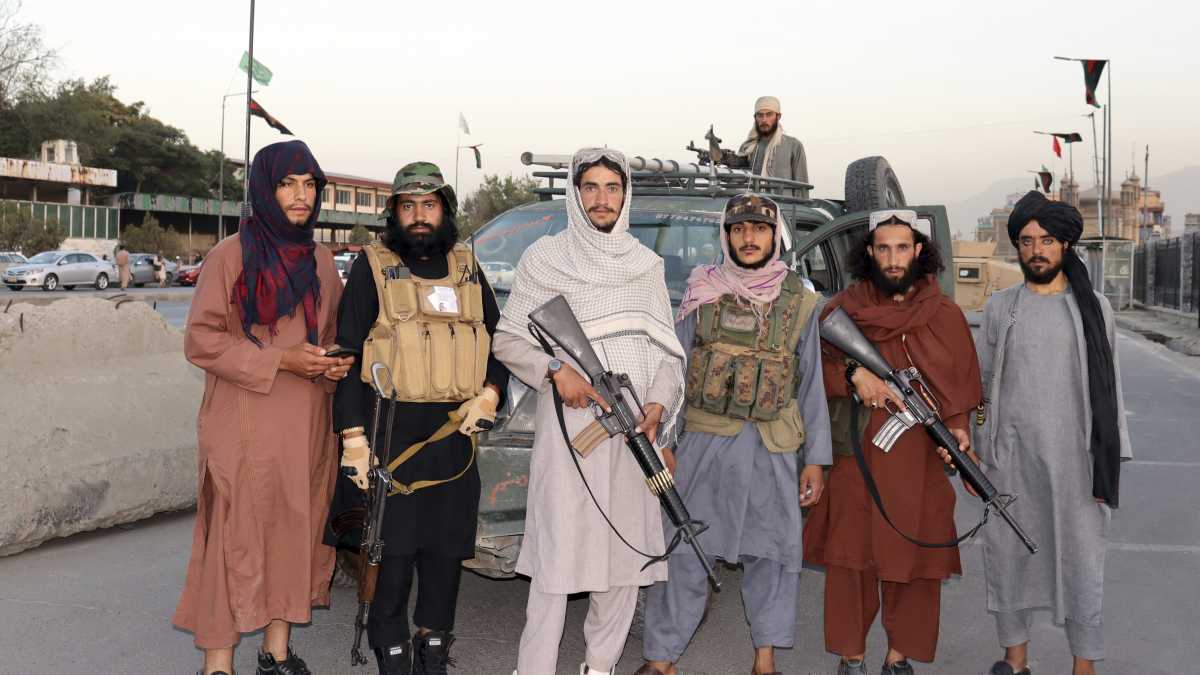 Immagine di Presidi slow food e pannelli solari: così i talebani diventano presentabili