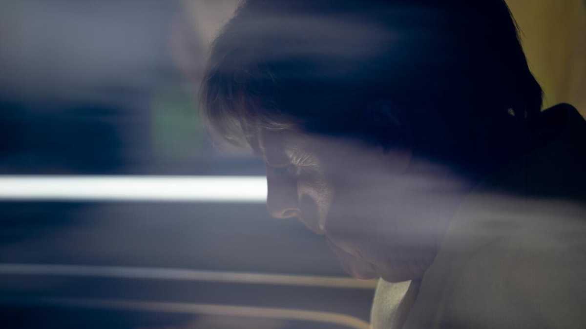 Immagine di Il voto delle due Germanie