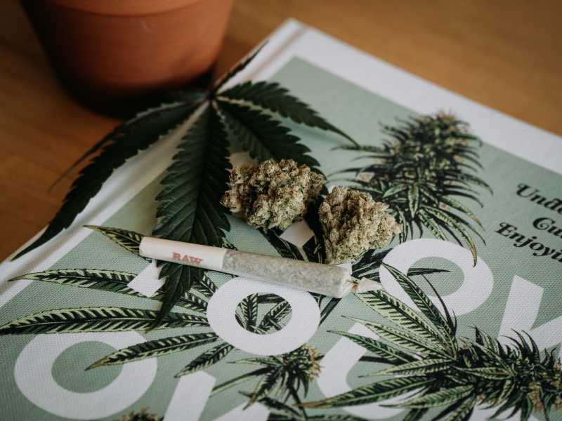 Cari Radicali, rendere le droghe più libere non è un buon affare