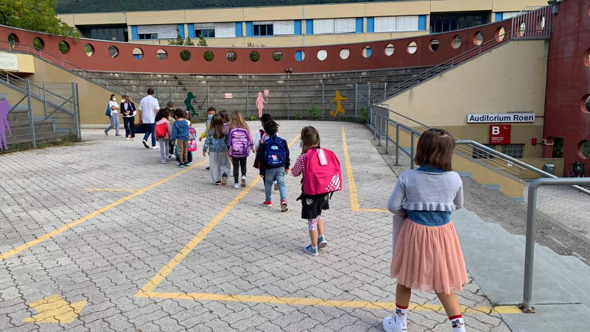 Immagine di Lo strano caso Alto Adige, avanguardia nella lotta al Covid ma con molti prof no Vax