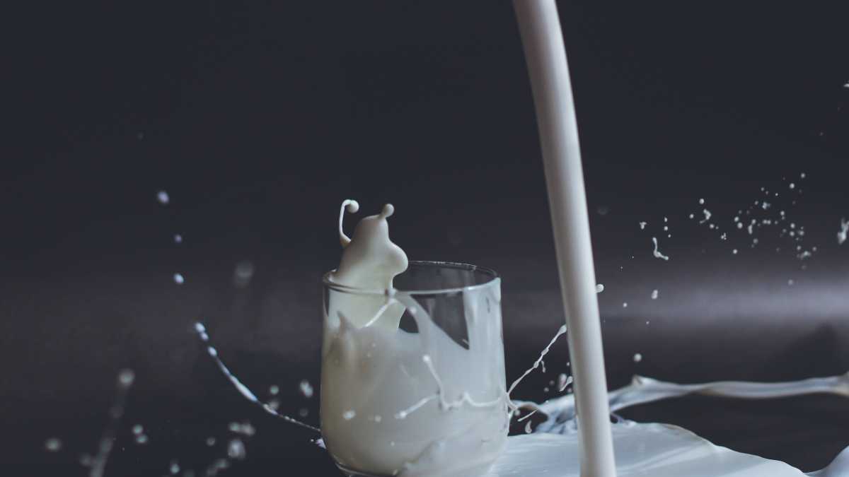 Immagine di Il latte intero è il massimo dell'anticonformismo