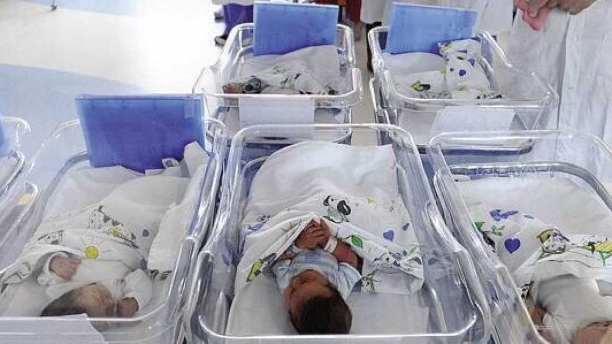 Immagine di Vite in vendita