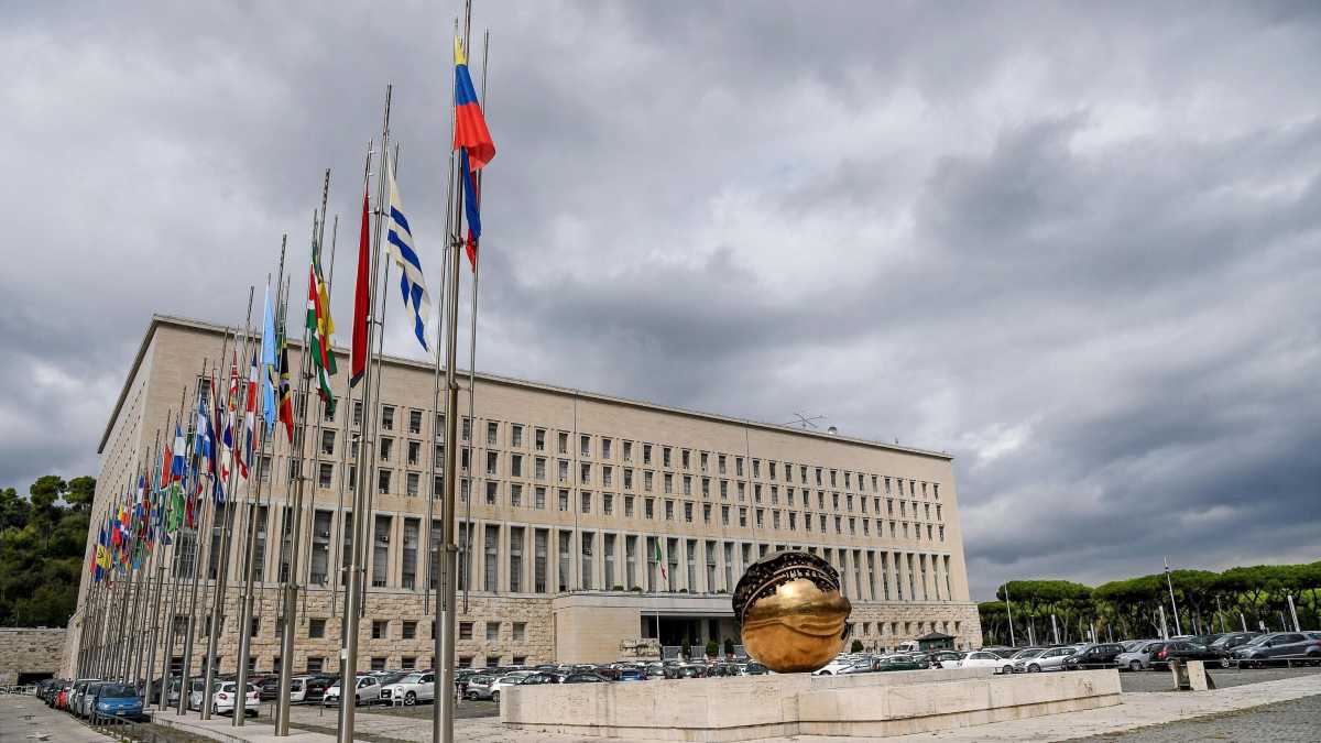 Immagine di Nel caso Giffoni, il ministero degli Esteri non ha scuse
