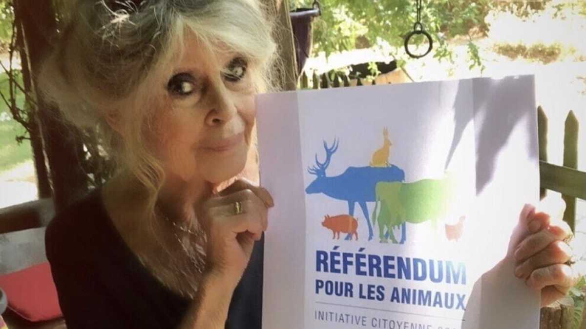 Immagine di Quanto è considerata infrequentabile la Bardot animalista