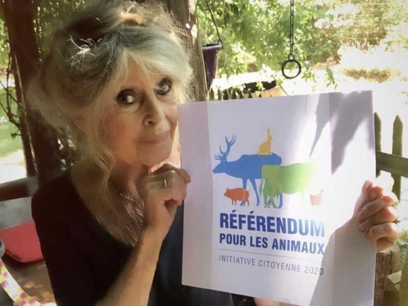 Quanto è considerata infrequentabile la Bardot animalista