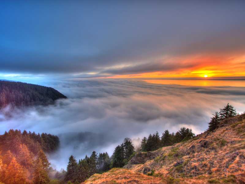 Banchi di nebbia nella Siuslaw National Forest (Oregon, Usa). Foto: National oceanic and atmospheric administration