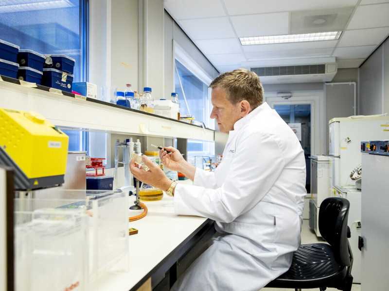 EPA/KOEN VAN WEEL