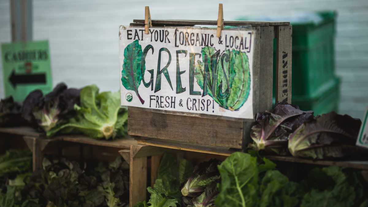 Immagine di L’agricoltura bio impone veti ideologici sui pesticidi, e ora paga le conseguenze