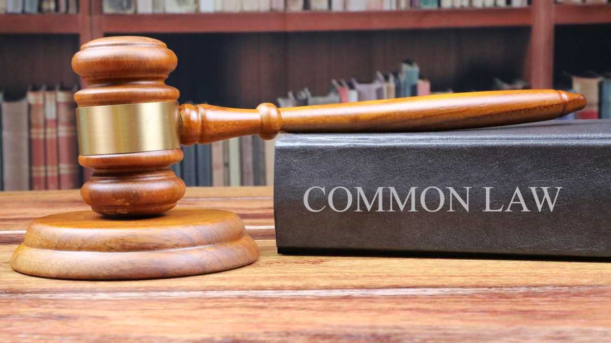 Immagine di Dire “cresci!” non è discriminazione