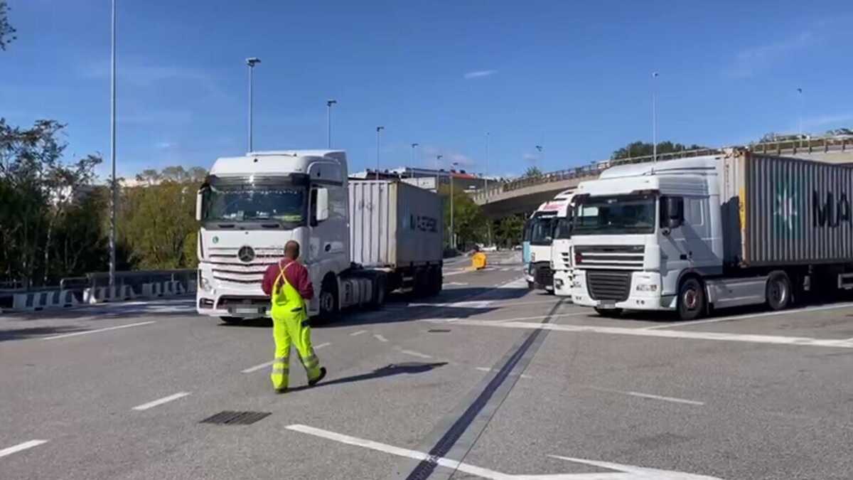 Immagine di Illegittimo lo sciopero dei portuali di Trieste, dice la Commissione di garanzia