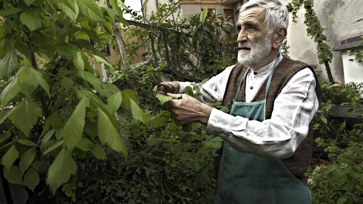 Immagine di Enzo Mari è un meme
