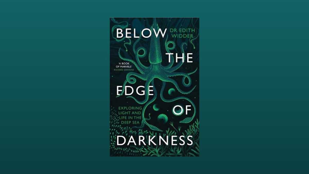 Immagine di Below the Edge of Darkness