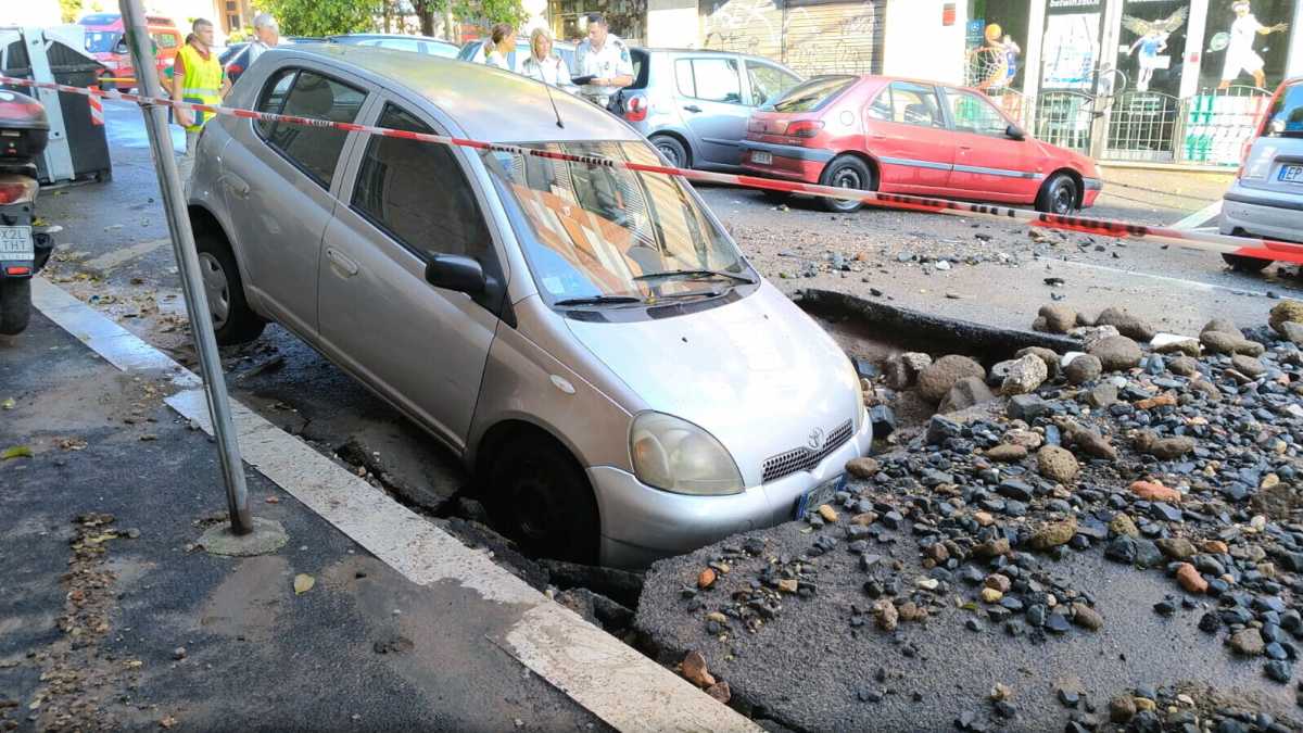 Immagine di Animali, traffico e buche: trasformiamo i problemi di Roma in attrazioni turistiche