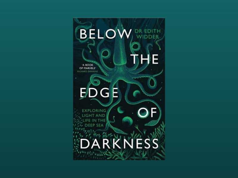 Below the Edge of Darkness