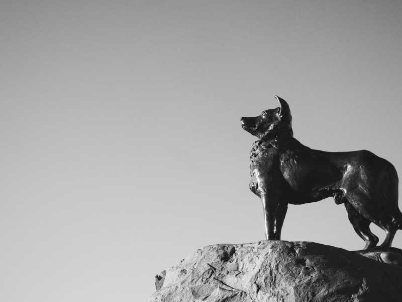 (foto Unsplash)
