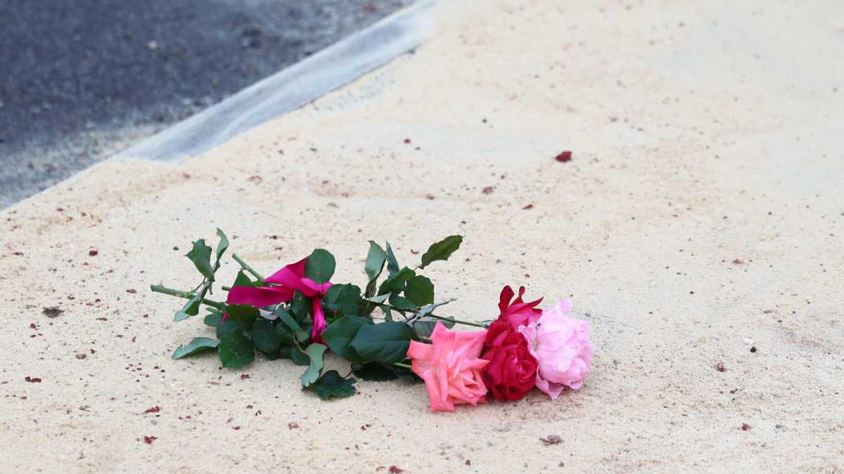 Immagine di Un'altra donna assassinata e il forsennato Berlioz a mollo