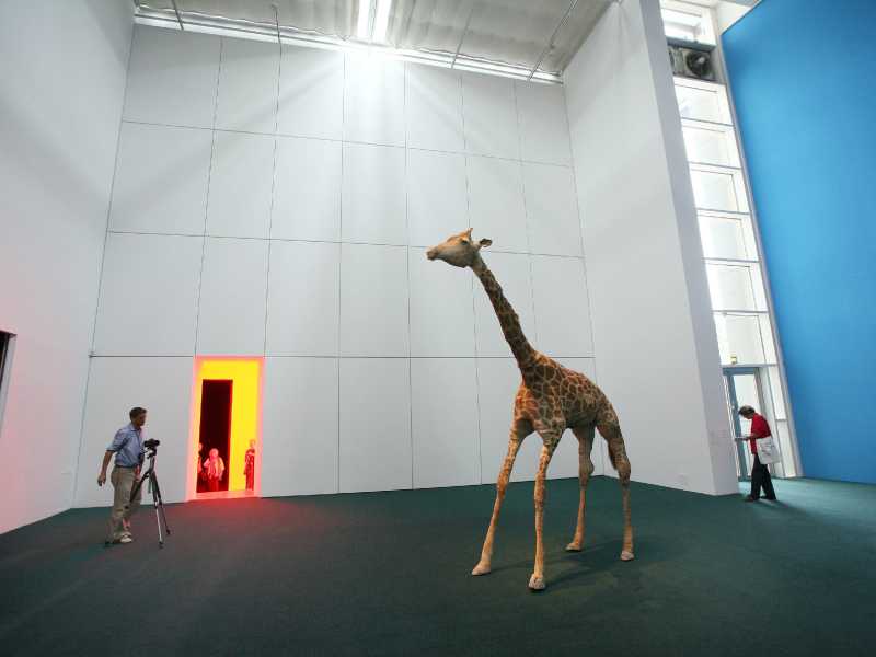 Uwe Zucchi/Dpa/LaPresse - Mostra d'arte Documenta12. Nella foto: "The Zoo Story" di Peter Friedl <br />