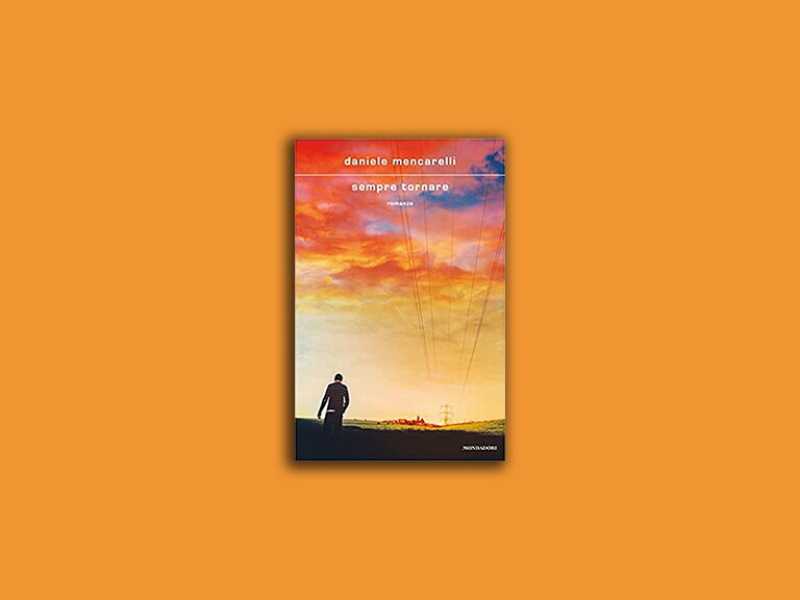 Il viaggio inquieto di un ragazzo con la valigia verde. Un libro