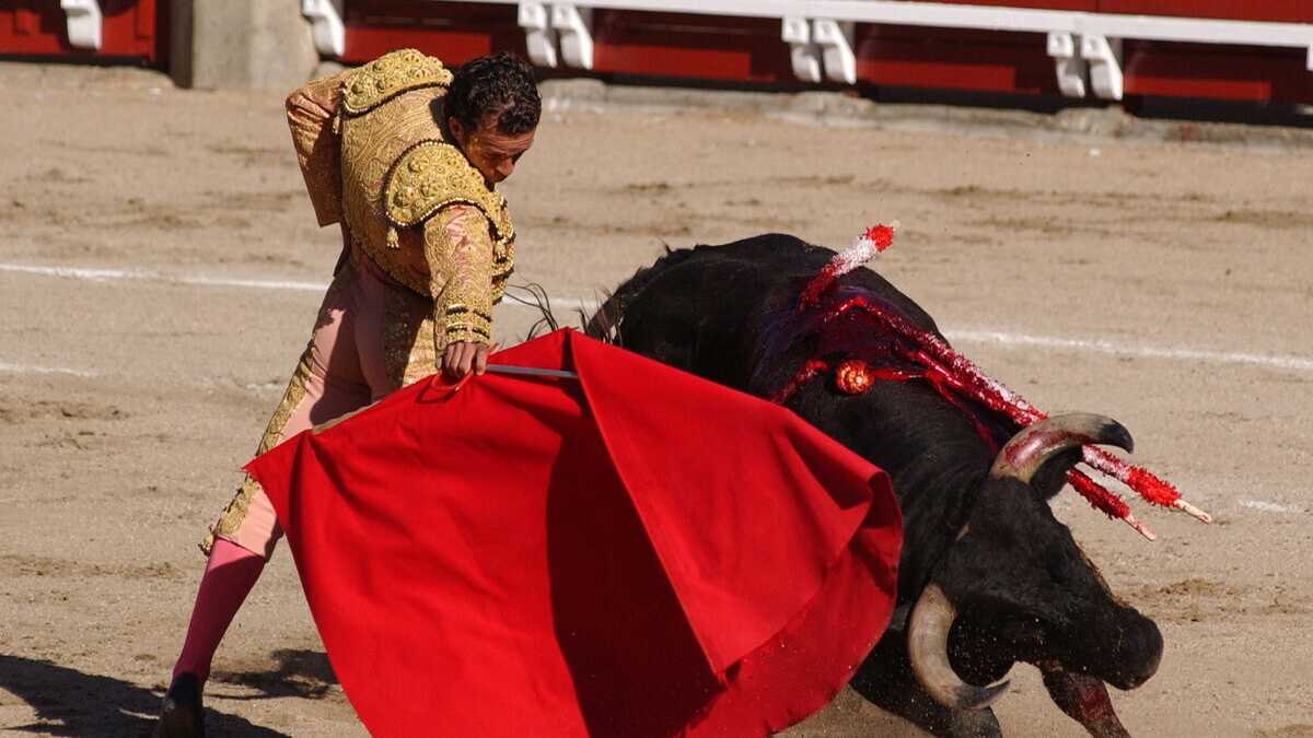 Immagine di Il politicamente corretto, anche nelle arene spagnole