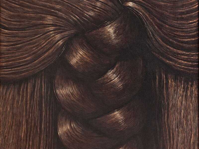 Domenico Gnoli, Treccia