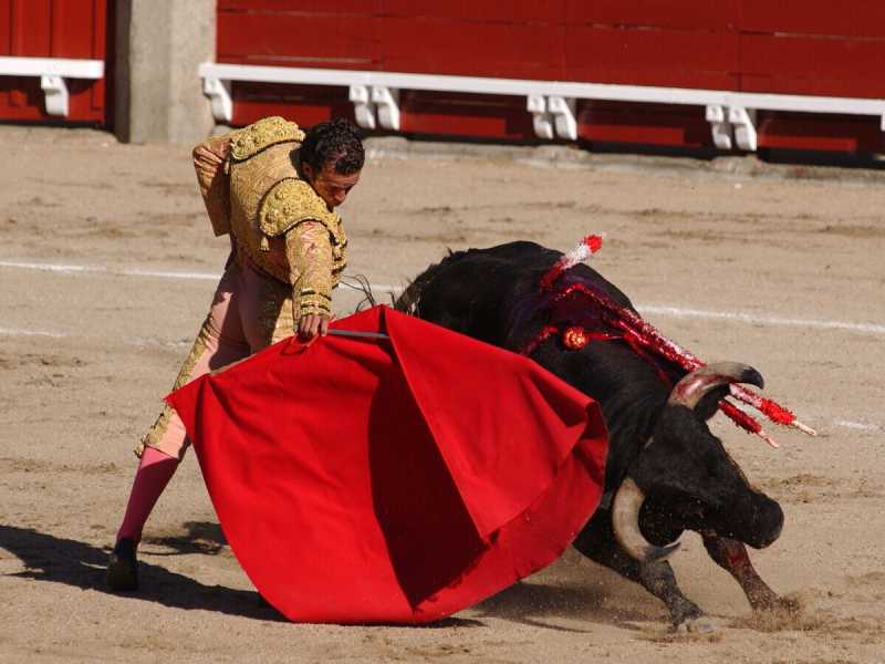 Carlos Alvarez/Getty Images&nbsp;<br />