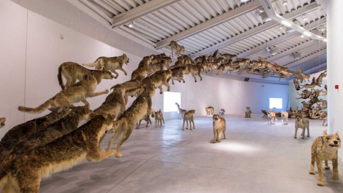 Immagine di I fumogeni del Fatto sul licenziamento in tronco