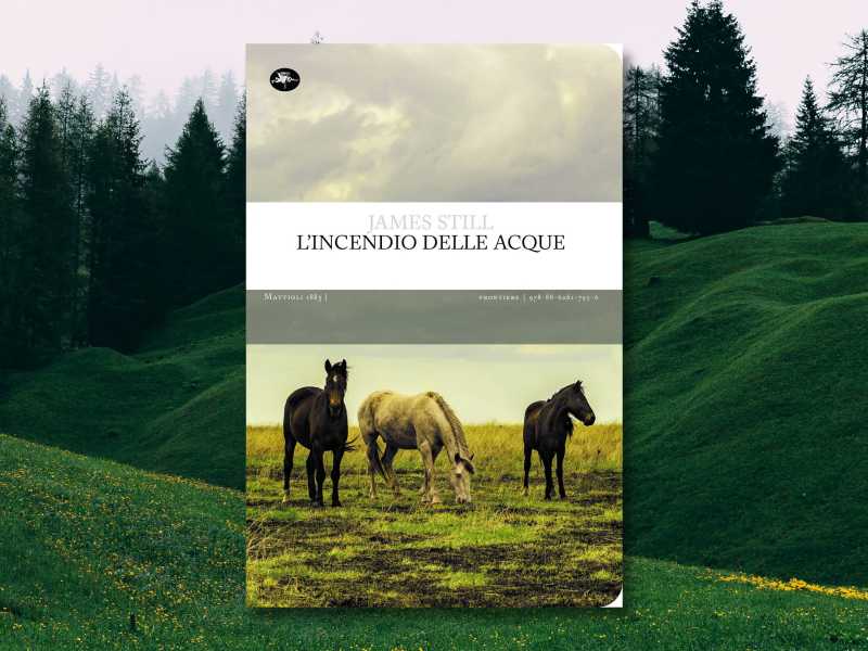 Elaborazione grafica di Francesco Stati&nbsp;<br />