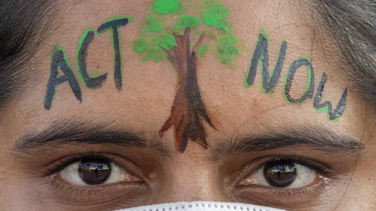 Immagine di Fossi donna mi offenderei dell'ecofemminismo