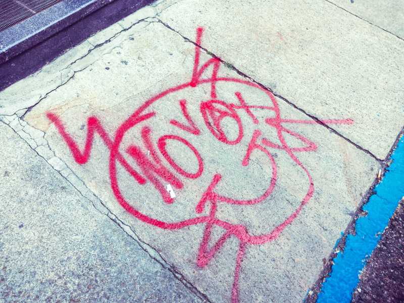 Scritte no vax a Torino (Ansa) 